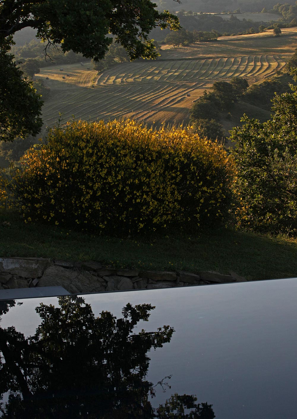 Nature around Torre di Moravola