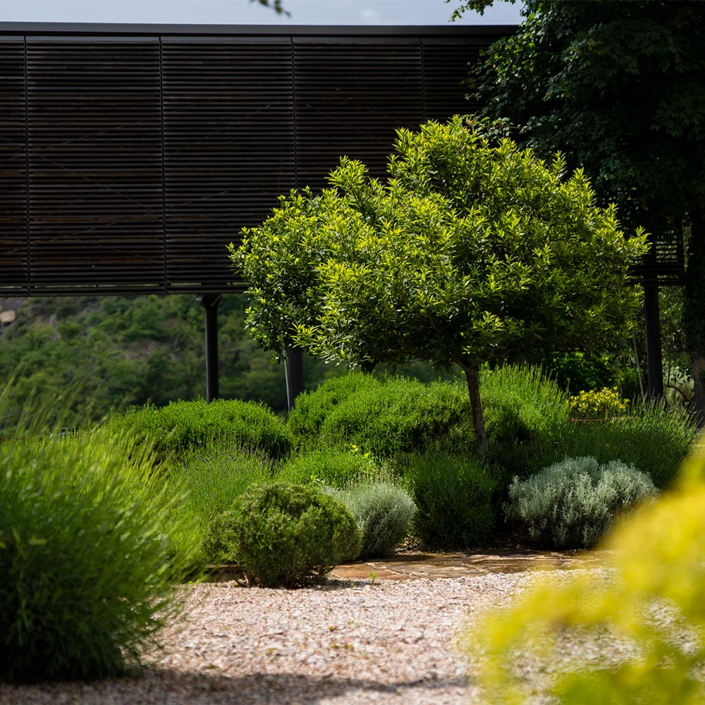 Nature around Torre di Moravola